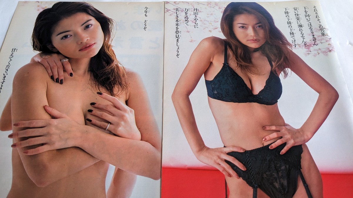 ★☆青田典子 切り抜き 9ページ★☆グラビア 水着 巨乳_画像1