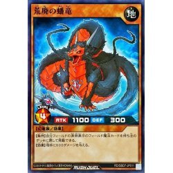 ☆中古☆遊戯王ラッシュデュエル　荒廃の蟠竜　RD/SBD・ノーマル・1枚_画像1