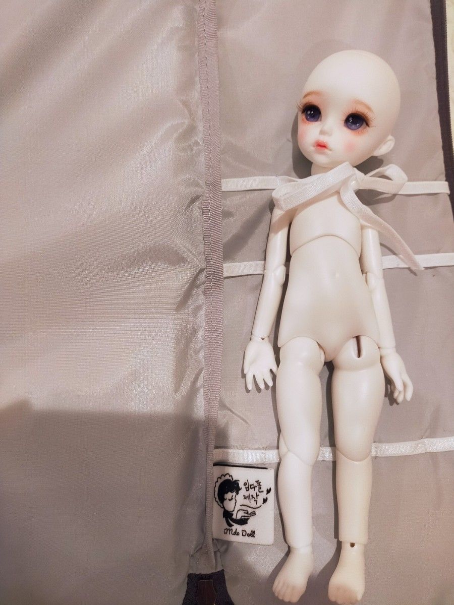 imda doll odelie2.6 イムダドール本体とアイ 新品のウィッグ