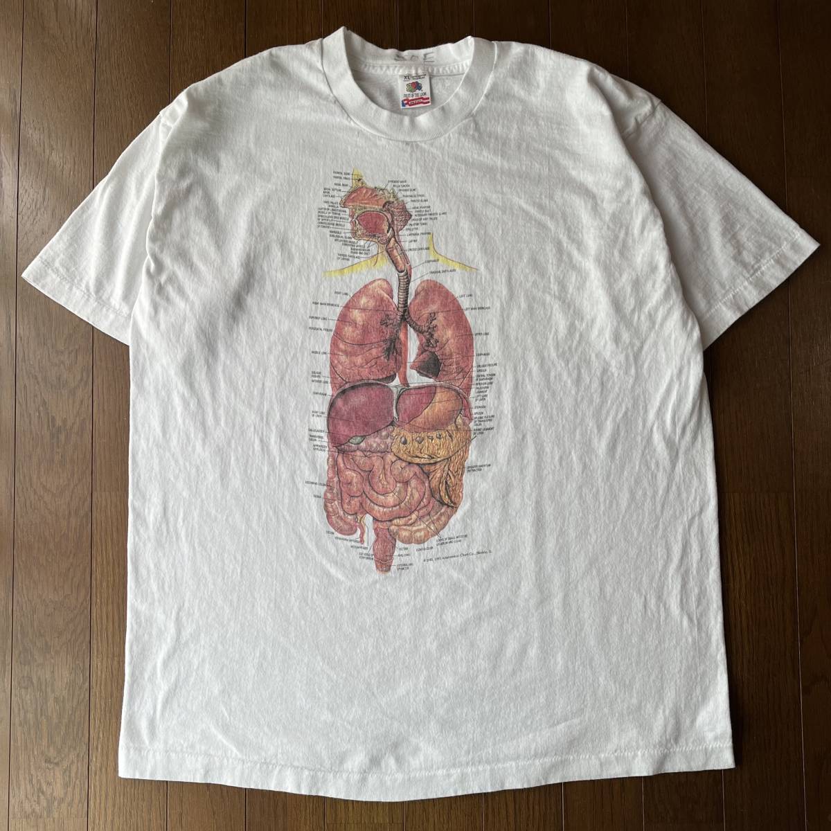 誠実】 90s 耳 三半規管 Anatomical Chart co 90S 解剖図 Tシャツ T