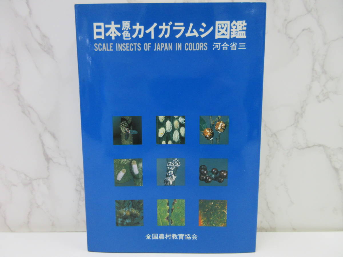 B1-3【絶版 日本原色カイガラムシ図鑑 Scale Insects of Japan in Colors 河合省三/著 写真多数】全国農村教育協会 カイガラムシ 昆虫