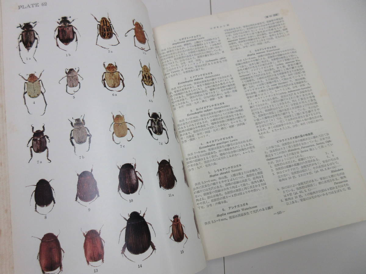 B1-4【原色昆虫大図鑑 井上寛、白水隆/著 第1巻~第3巻 全3巻セット 函