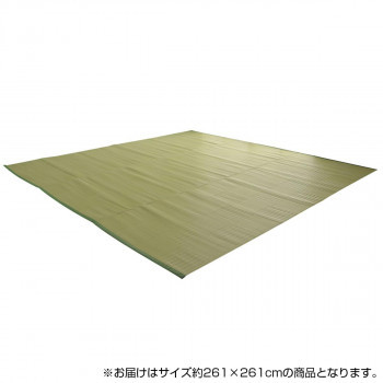日本製 抗菌 防臭 消臭 洗えるカーペット グリーン 江戸間4.5畳(約261×261cm) 2128904_画像1