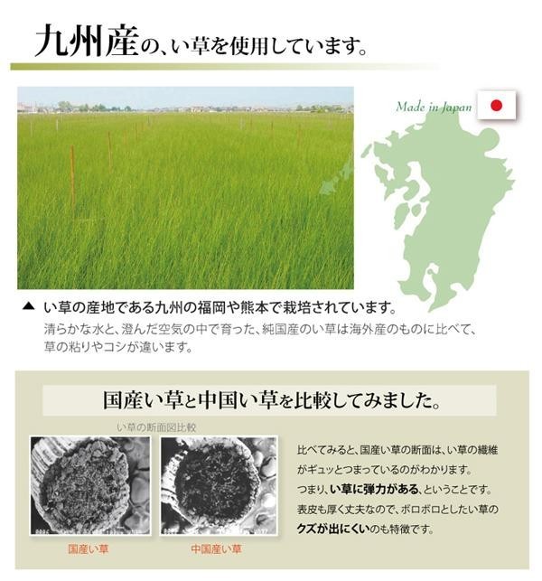 純国産 い草 上敷き カーペット 双目織 『松』 江戸間3畳(約176×261cm) 1103233_画像4