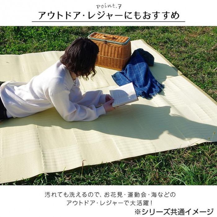 日本製 抗菌 防臭 消臭 洗えるカーペット グリーン 江戸間3畳(約174×261cm) 2128903_画像8