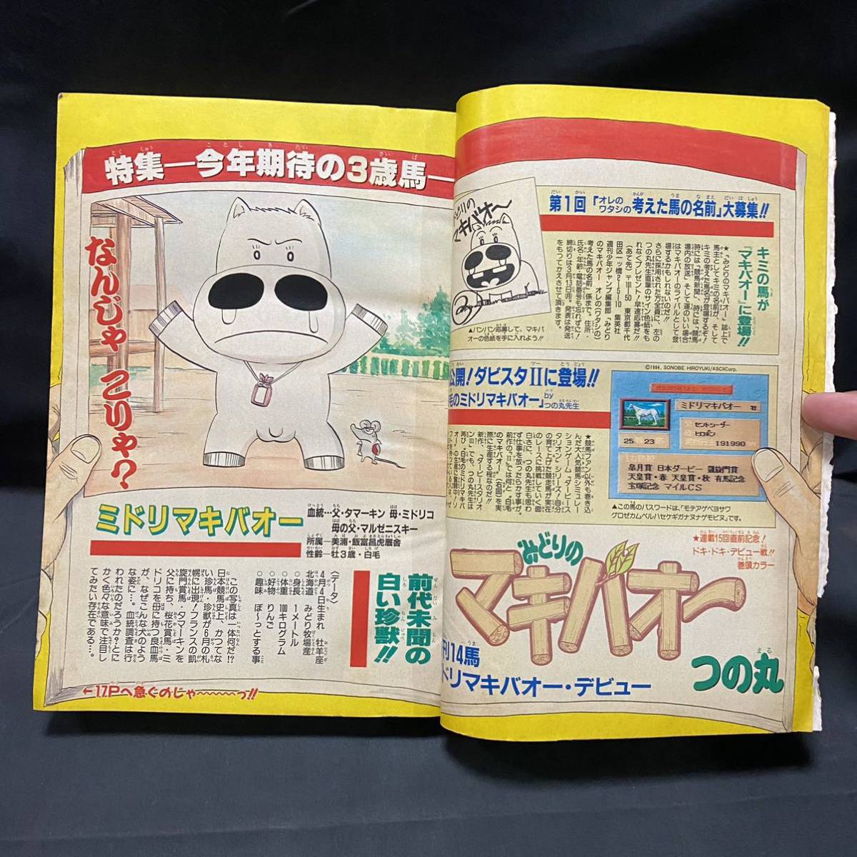 孫悟空×桜木花道超スクラムポスター付き週刊少年ジャンプ1995年 孫悟空×桜木花道超スクラムポスター付き週刊少年ジャンプ1995年