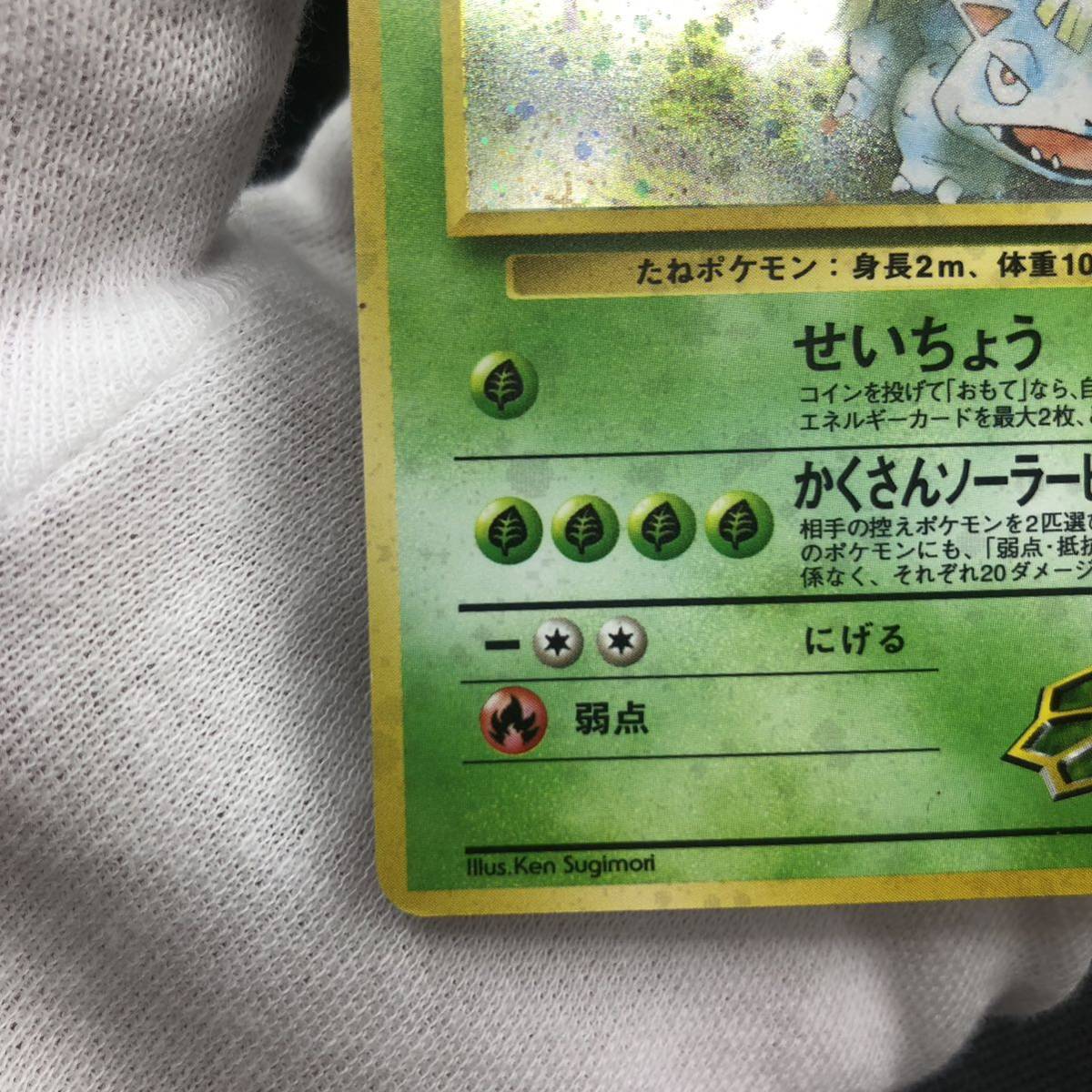 ポケモンカード 旧裏面 旧裏 エリカのフシギバナ キラ|Yahoo ポケモンカード 旧裏面 旧裏 エリカのフシギバナ キラ|Yahoo
