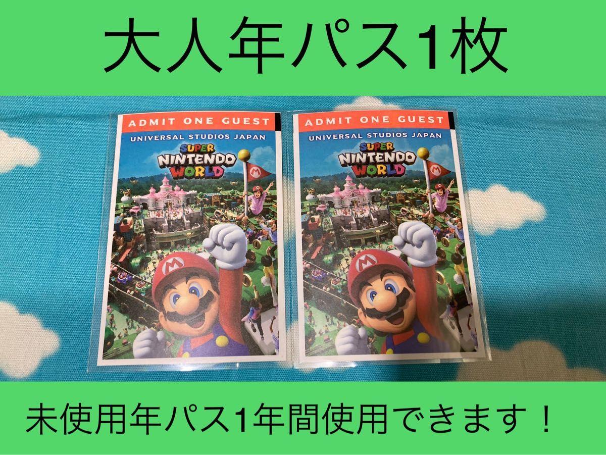 大人【年パス】ユニバーサルスタジオジャパン USJ 入場チケット 大人【年パス】ユニバーサルスタジオジャパン USJ 入場チケット