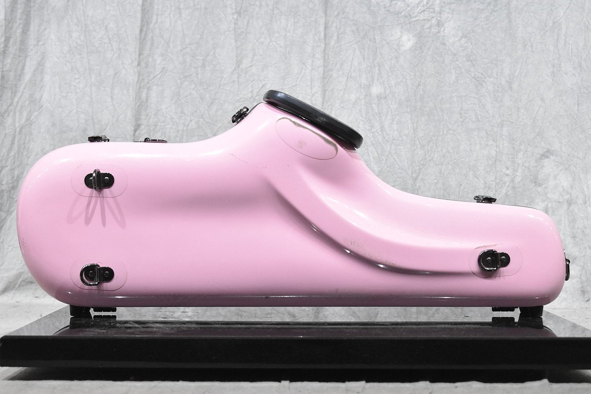 新作からSALEアイテム等お得な商品満載】 CC Shiny Case シャイニー
