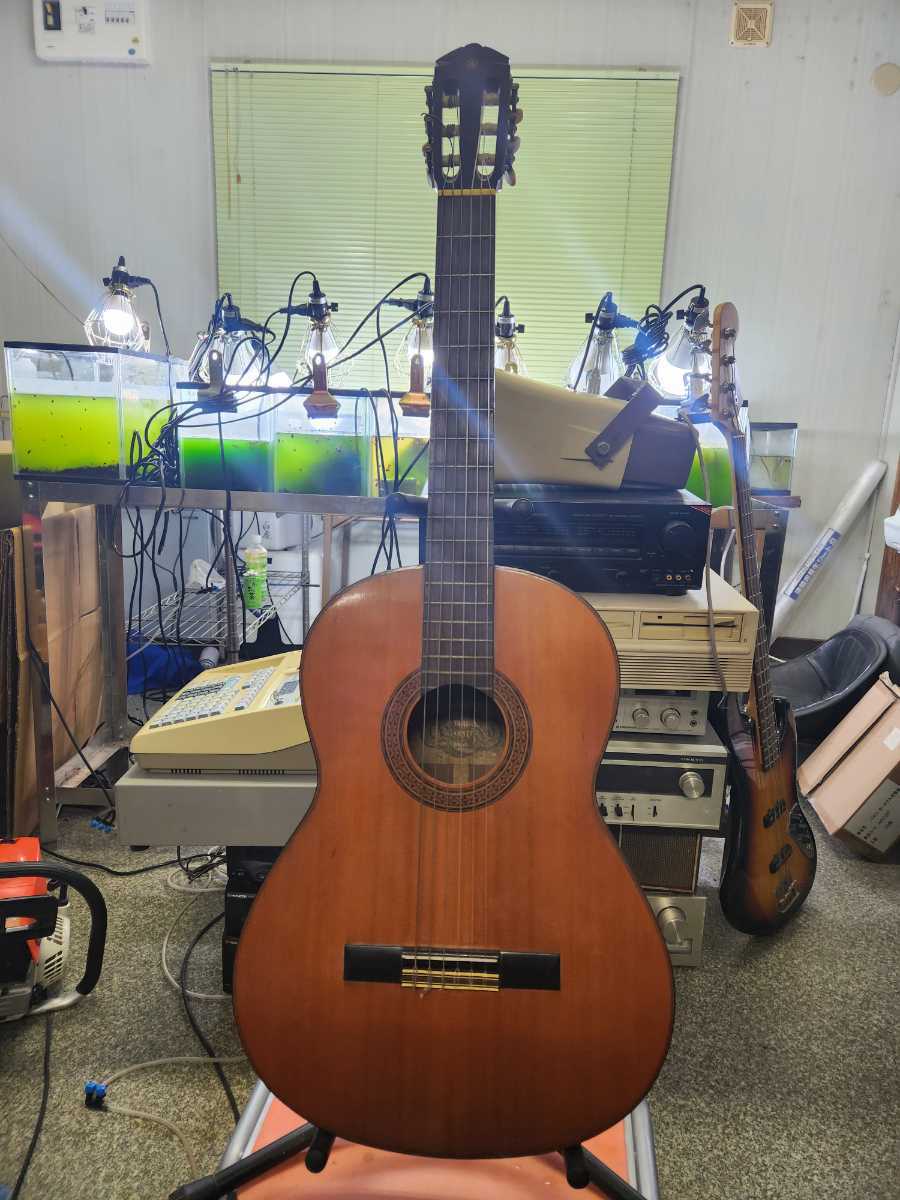 YAMAHA G・85D クラシックギター ガットギター ヤマハ