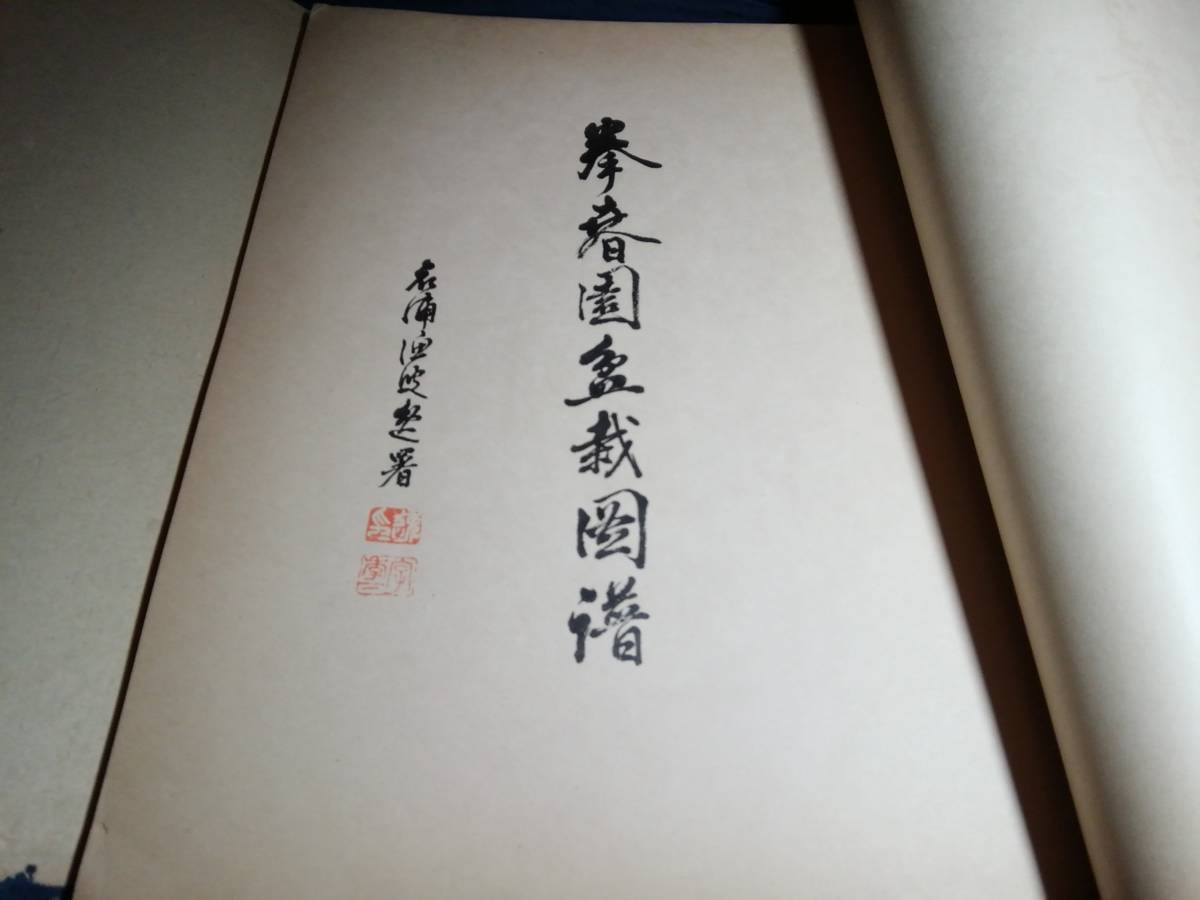 E⑥. spring . bonsai map . mountain hill thousand Taro Taisho 7 year 