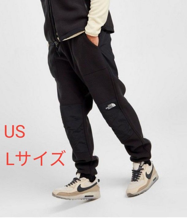 絶賛レビュー続出 US/Lサイズ☆ザ・ノースフェイス☆ポーラテック
