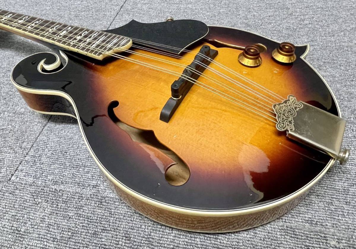 Yahoo!オークション - 美品 スタッフォードStafford エレキ Yahoo!オークション - 美品 スタッフォードStafford エレキ