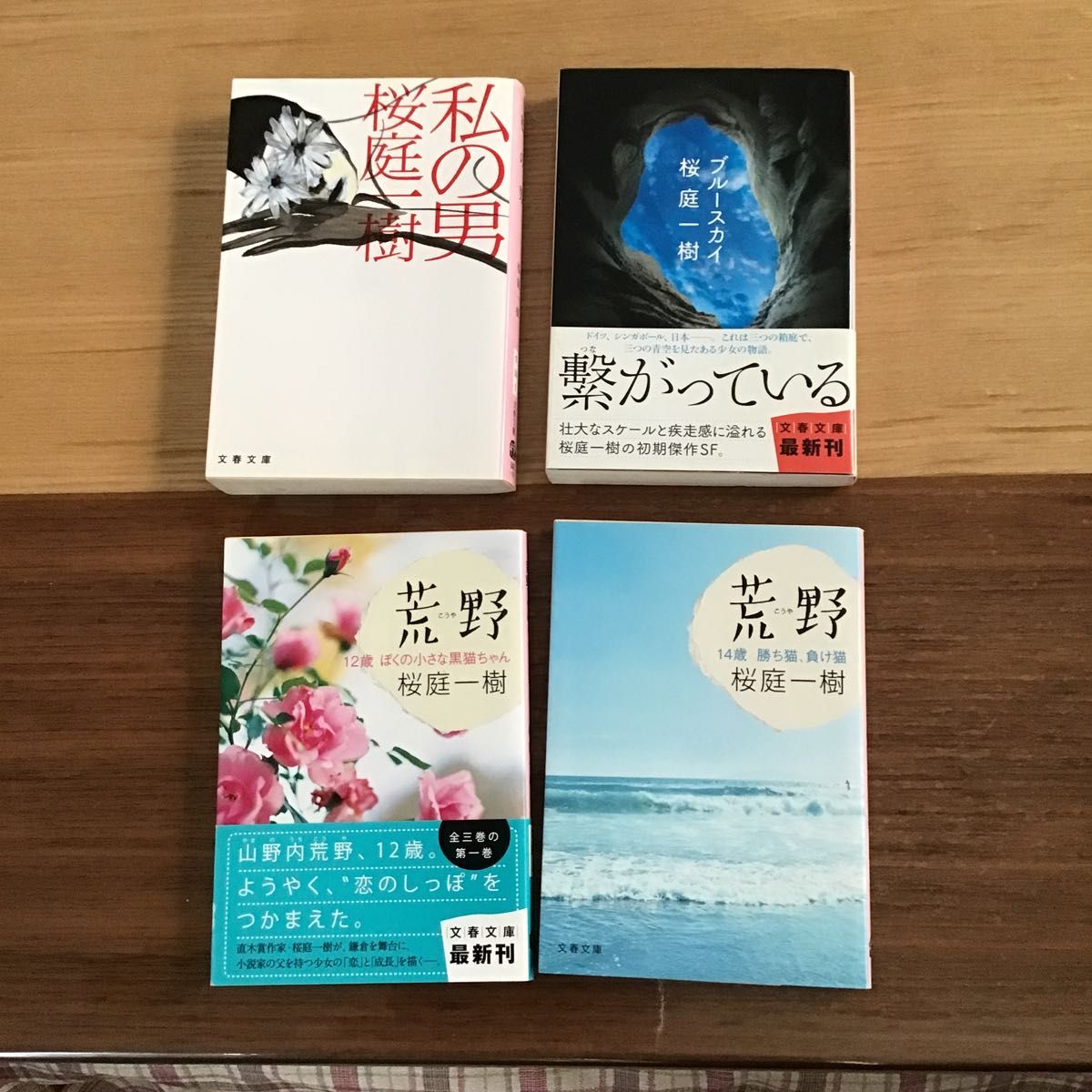 桜庭一樹　中古文庫本　4冊セット　バラ売り可