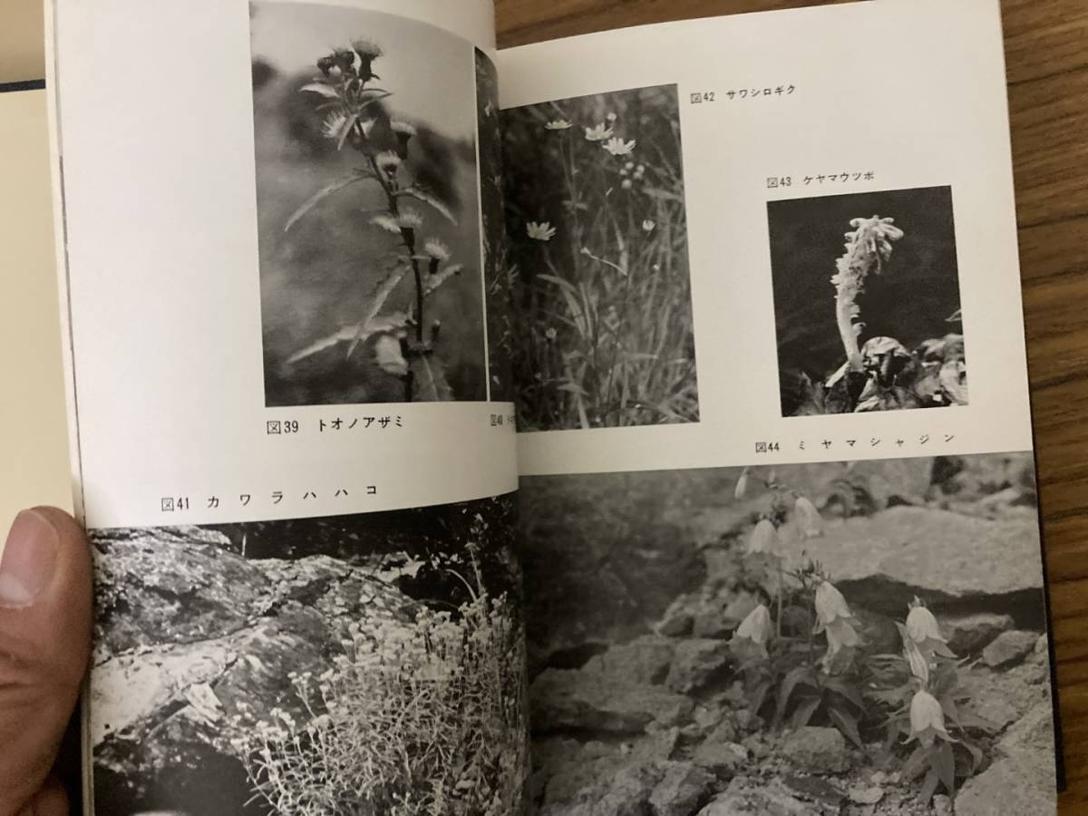 『　那須の植物　』　生物学御研究所編　三省堂　/A102_画像6