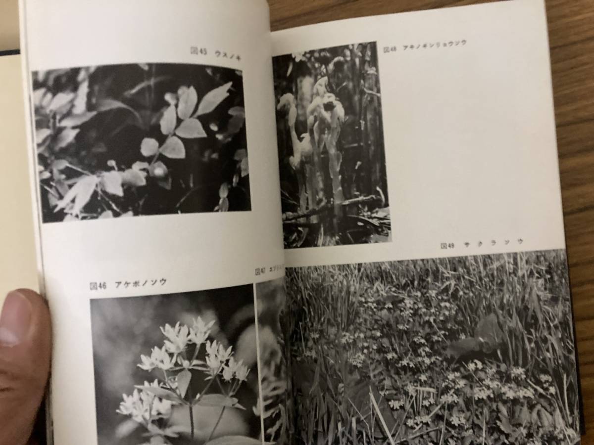 『　那須の植物　』　生物学御研究所編　三省堂　/A102_画像5