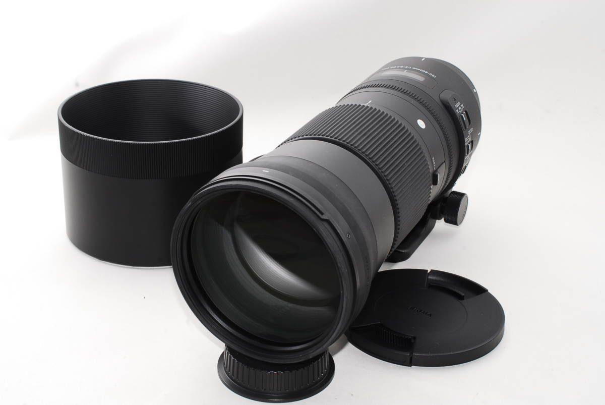 ☆SIGMA 150-600mm F5-6.3 DG contemporary for Canon 用 ☆奇跡のほぼ