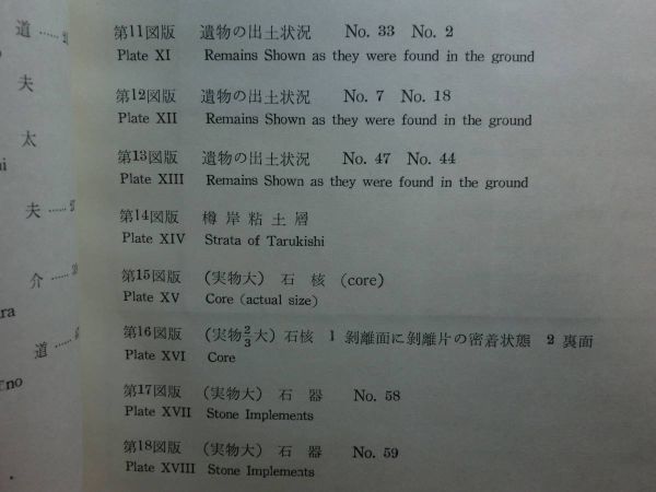 191208Z06★ky 希少資料 樽岸 発掘調査書 1956年 市立函館博物館 限定400部 北海道 樽岸遺跡 樽岸石器文化 考古学 縄文文化_画像6