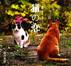 写真集　猫の恋／岩合光昭【写真・文】，石寒太【選句・文】_画像1