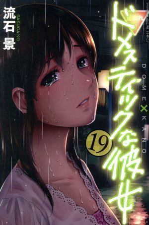 ドメスティックな彼女(１９) マガジンＫＣ／流石景(著者)_画像1