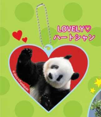  Panda itself fes acrylic fiber key holder car n car n Heart ak key Ueno zoo Panda pine slope shop Ueno ga tea Panda itself 