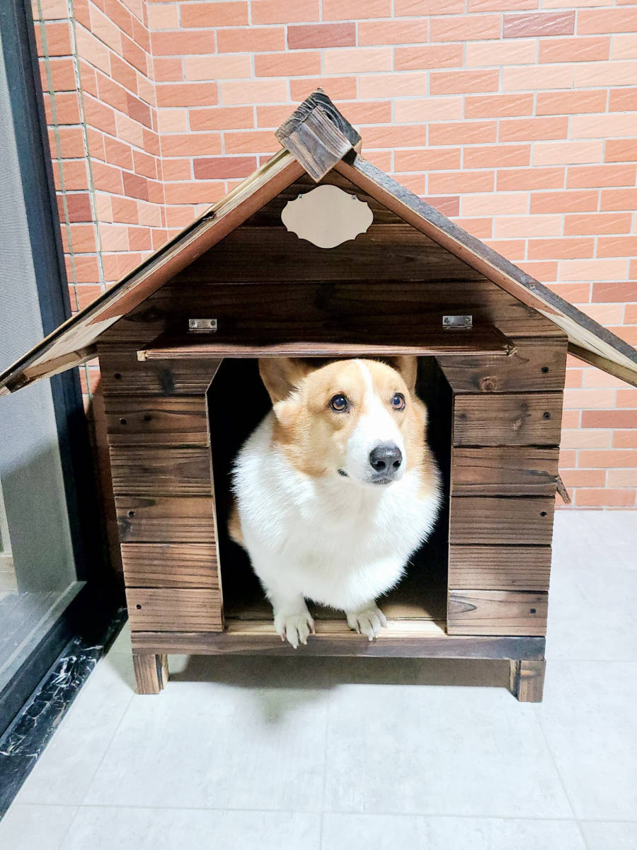 NEW好評 ペットハウス 犬小屋 大型 木製 中型犬 小型犬 に最適 犬小屋