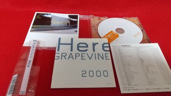 CD Grapevine Here retro CD с поясом оби 