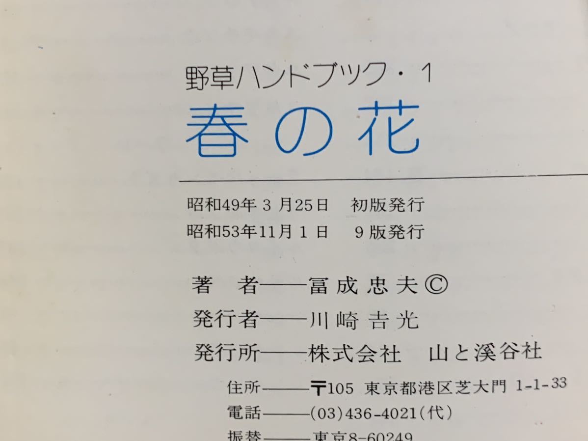 冨成 忠夫 春の花 (野草ハンドブック)_画像10