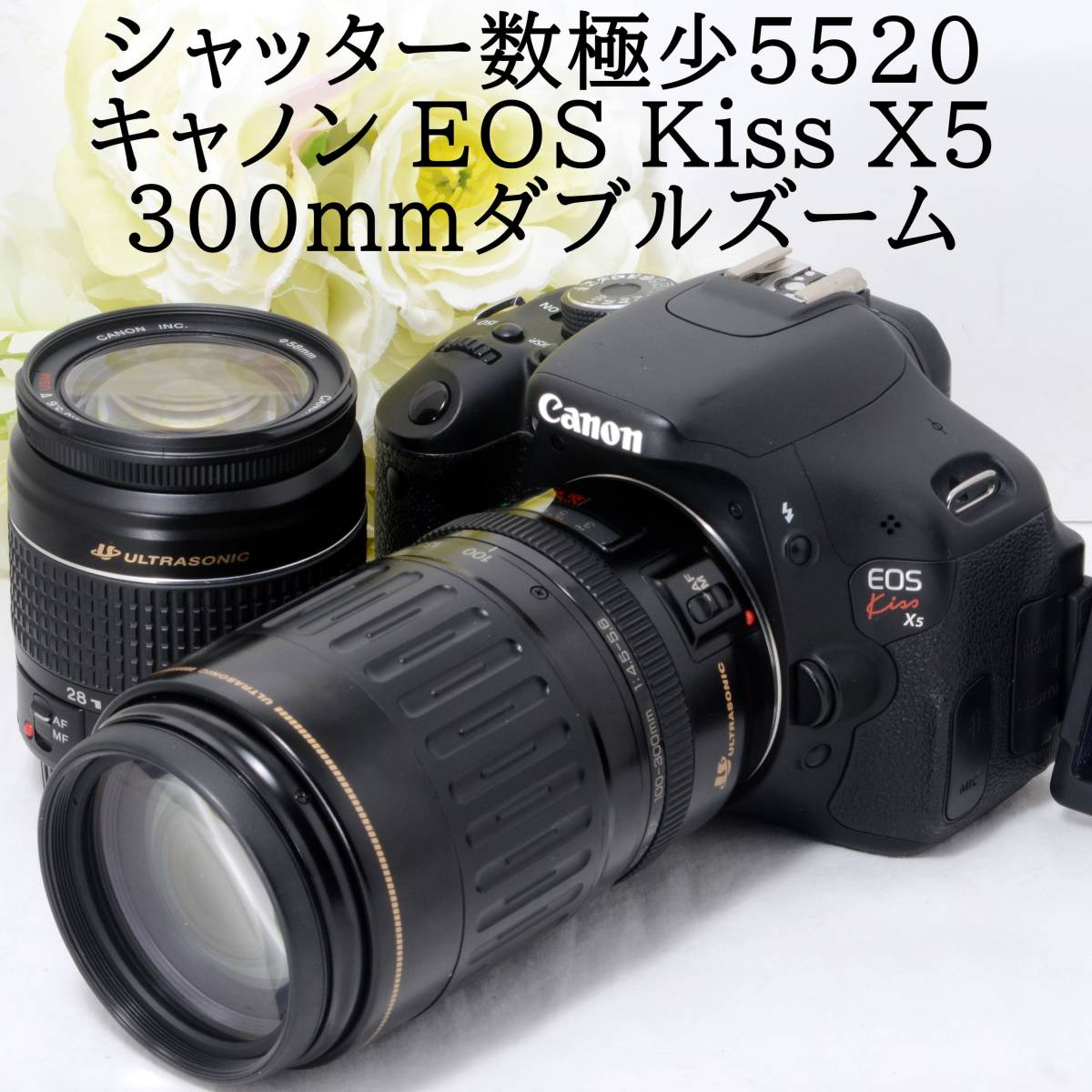 ◇超美品◇ Canon キヤノン EOS kiss x5 レンズセット