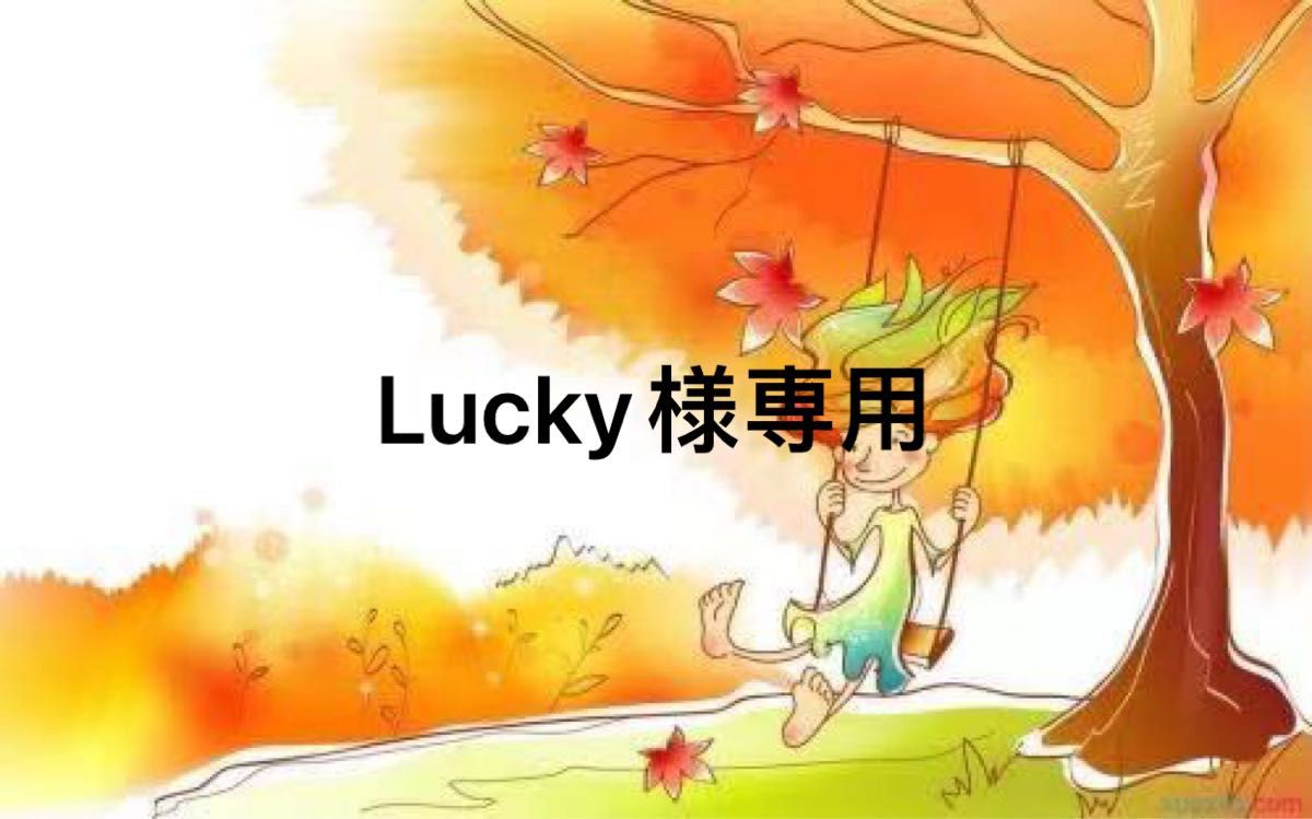 新しいスタイル Luckey☆♪様専用♡ | promochess.com