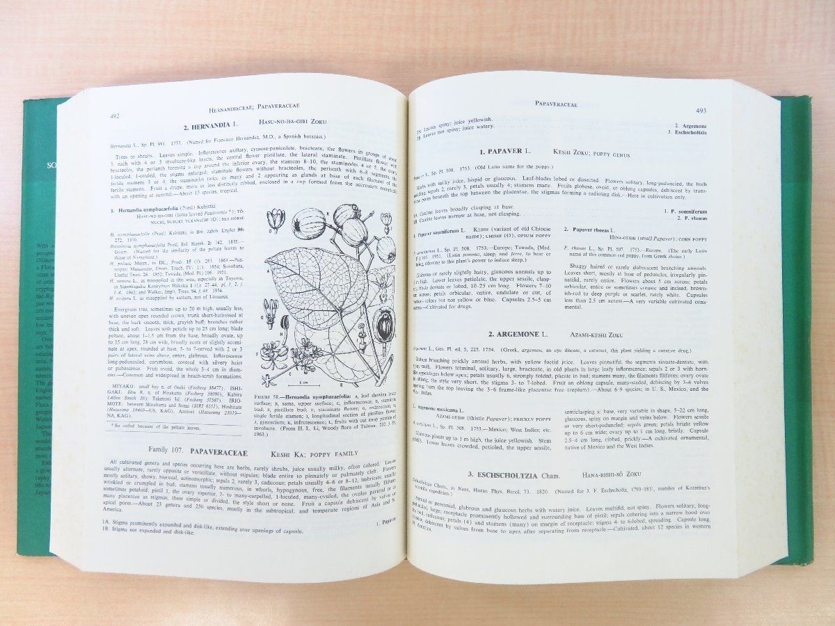 沖縄/八重山諸島/宮古列島植物研究書『Flora of Okinawa and the southern Ryukyu Islands』1976年刊 スミソニアン博物館出版部刊 アート、エンターテインメント 沖縄/八重山諸島/宮古列島植物研究書『Flora of Okinawa and the southern Ryukyu Islands』1976年刊 スミソニアン博物館出版部刊 アート、エンターテインメント