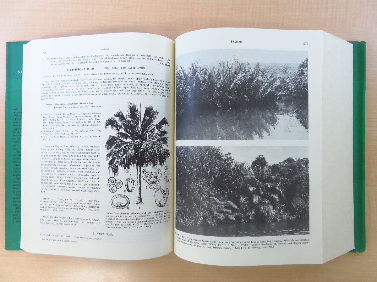 沖縄/八重山諸島/宮古列島植物研究書『Flora of Okinawa and the 沖縄/八重山諸島/宮古列島植物研究書『Flora of Okinawa and the