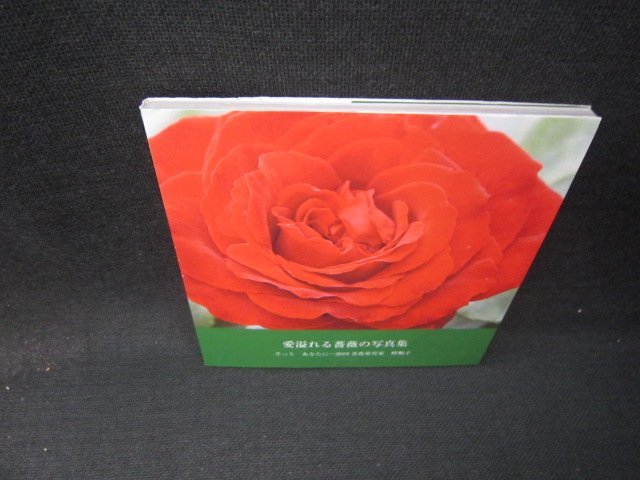 愛溢れる薔薇の写真集　カバー破れ有/ICV_画像1