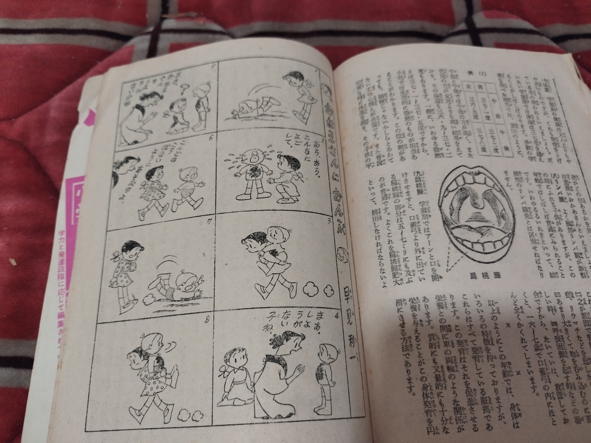 おかあさんの友　一年生の学力水準　小学一年生3月号付録　昭和31年　U_画像4