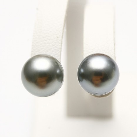 【予約販売】本 タヒチ黒蝶真珠パールピアス　9mm　グレーカラー　K14WG製 真珠
