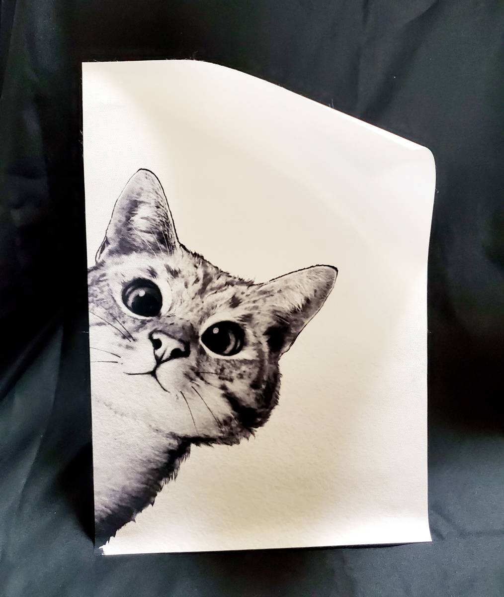 猫の雑貨　HANAKO　子猫の版画　猫のキャンパスアート　３点セット　２L　ペーパーフレーム付き　モノトーン_画像8