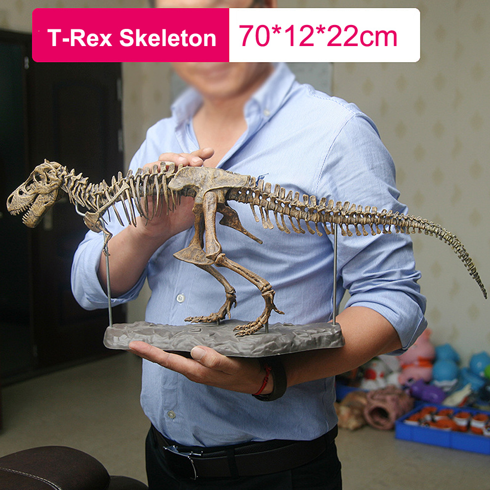 送料500円 4D ティラノサウルス おもちゃ 大型 恐竜 化石 スケルトン モデル 組み立て Aaa534_画像1