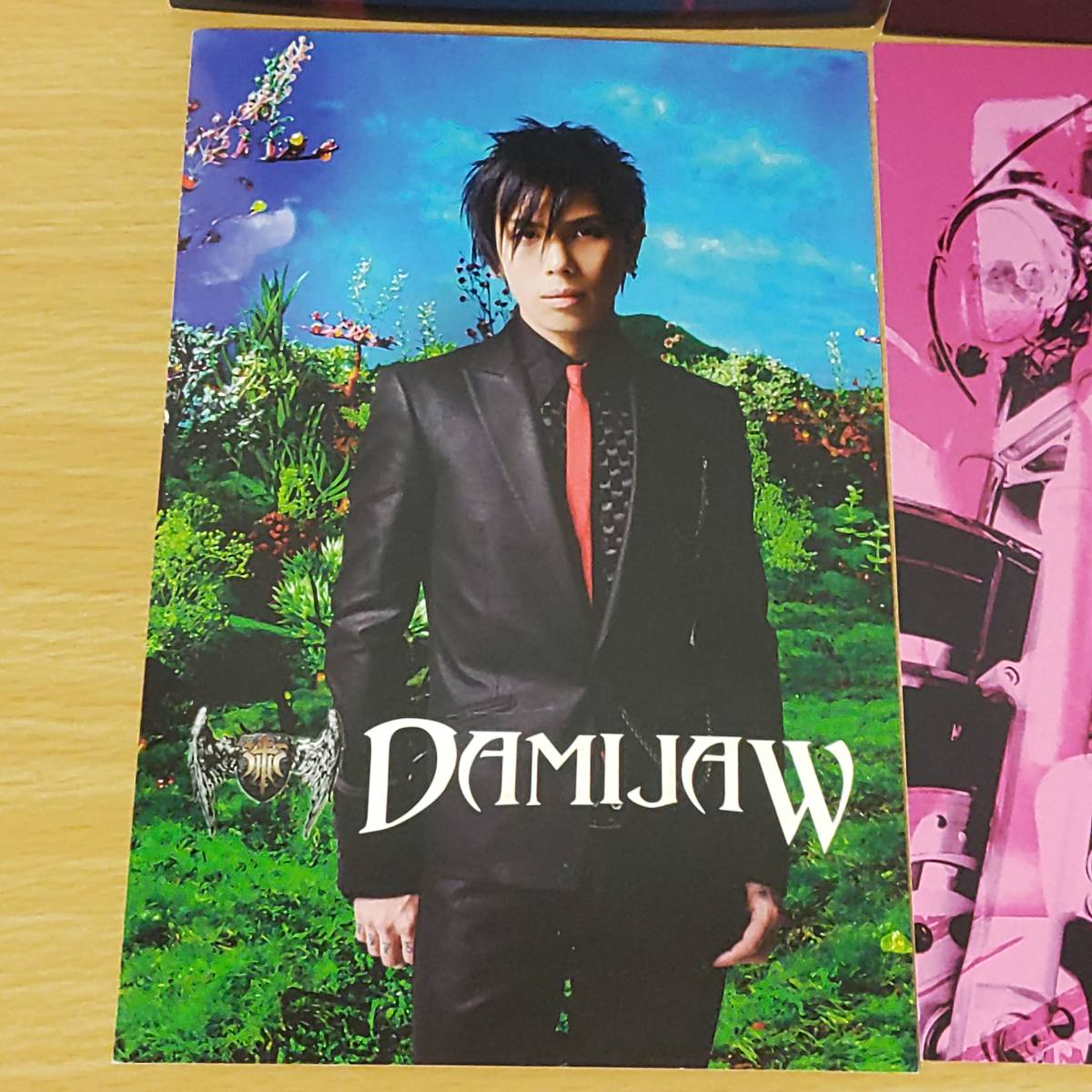 レア☆DAMIJAWポストカード7枚セット☆2010 tour 「I AM」Janne Da Arcベーシスト無力な自分が許せないpost card非売品Acid Black Cherry_画像8