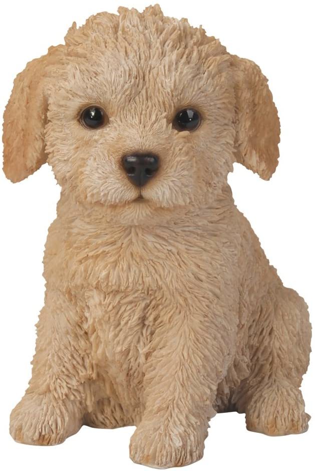 愛らしい座っているラブラドゥードルの子犬彫像 価値ある置物 素晴らしい犬愛好家(輸入品_画像1