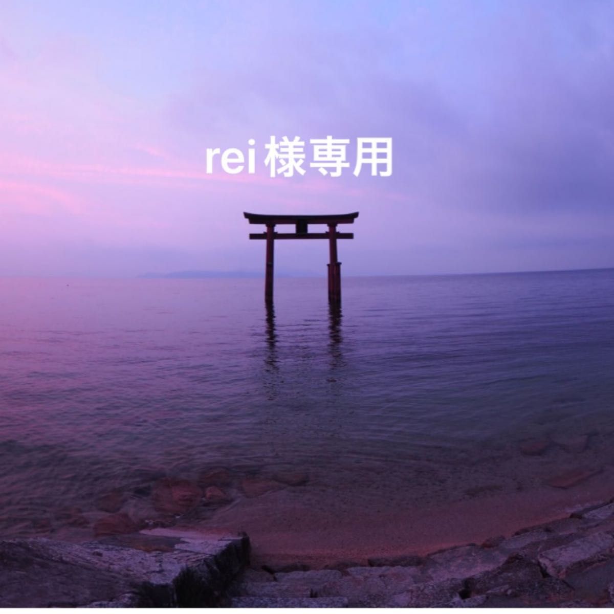 ❤︎REI❤︎様専用ページです-