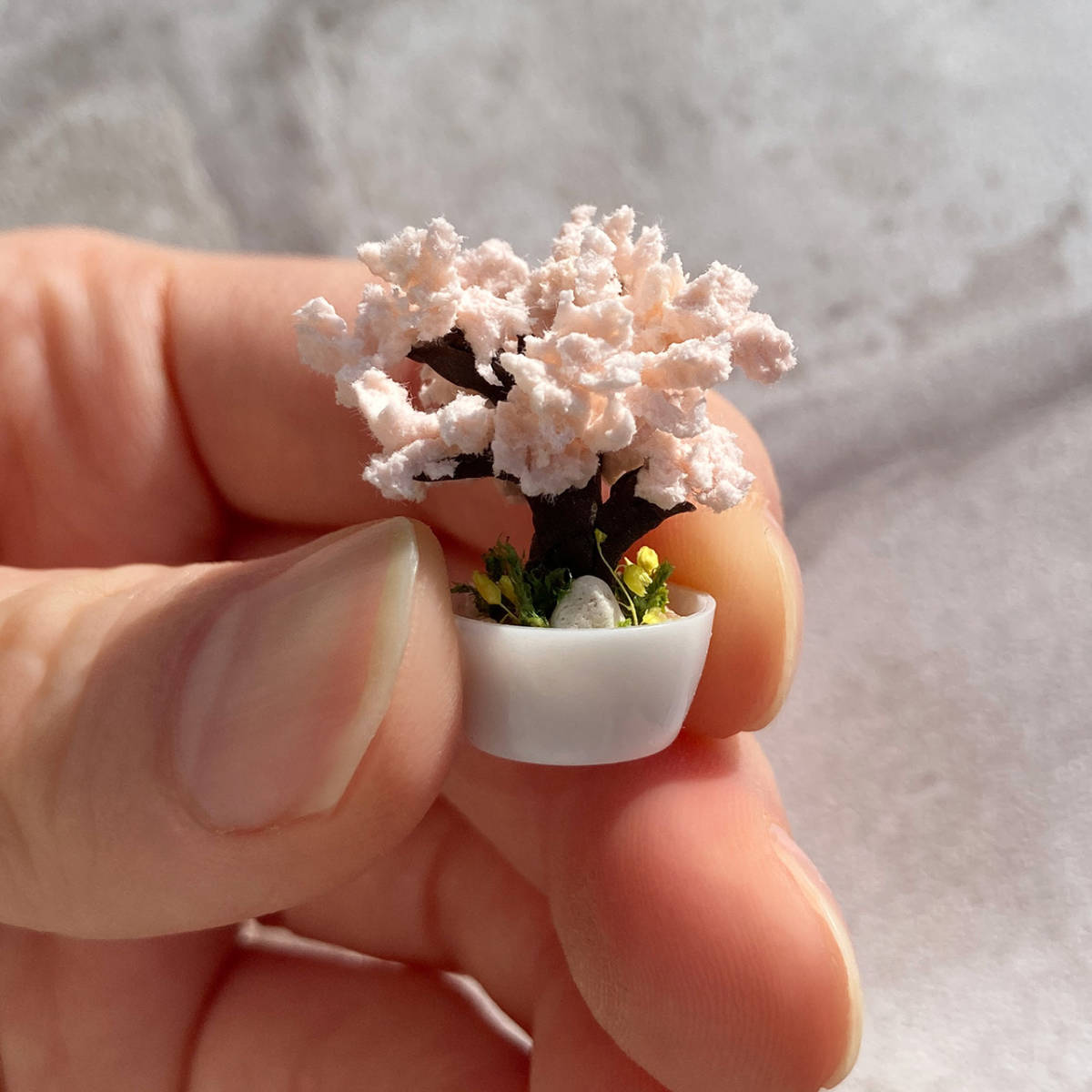  hand made Sakura. tree. miniature bonsai [ pot ]