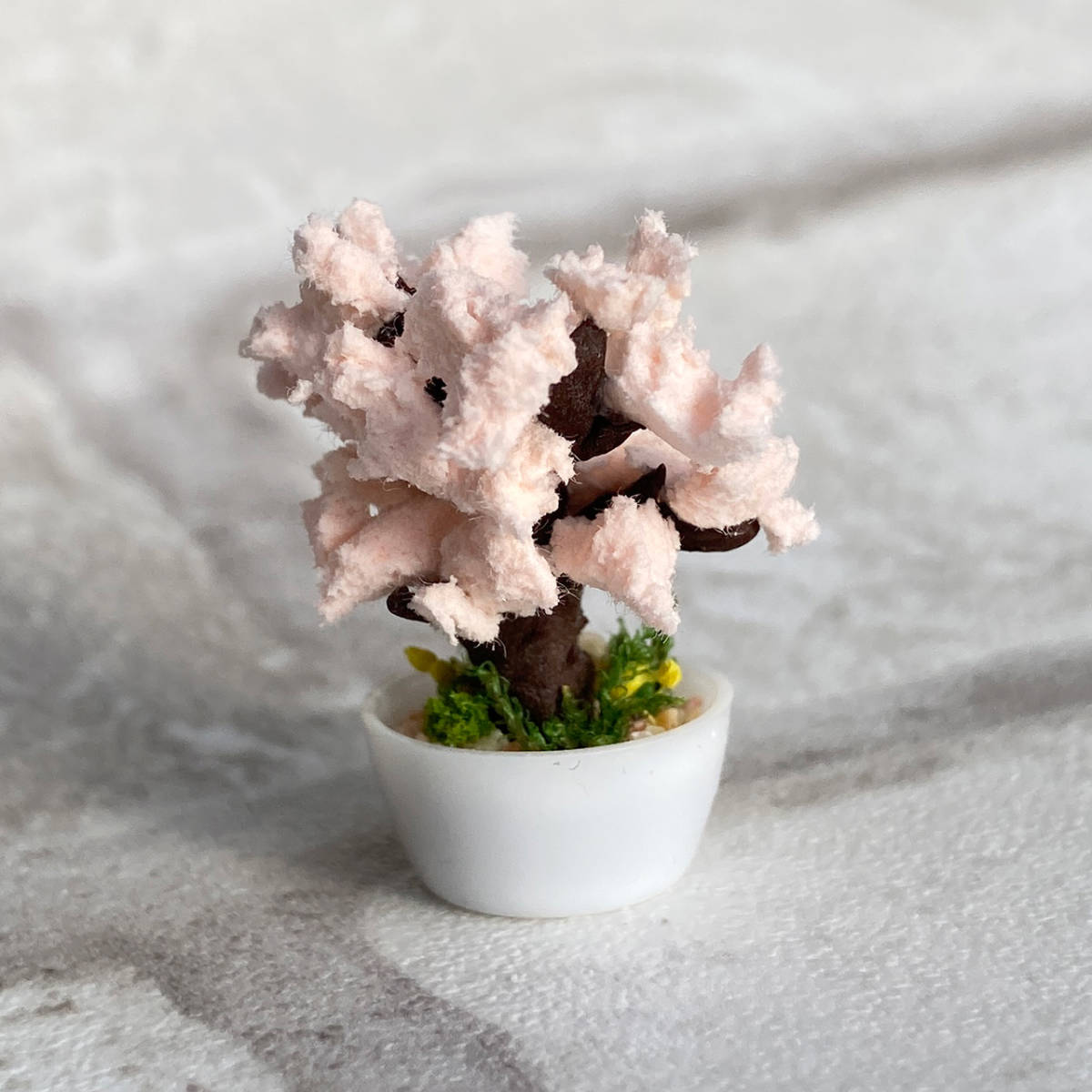  hand made Sakura. tree. miniature bonsai [ pot ]