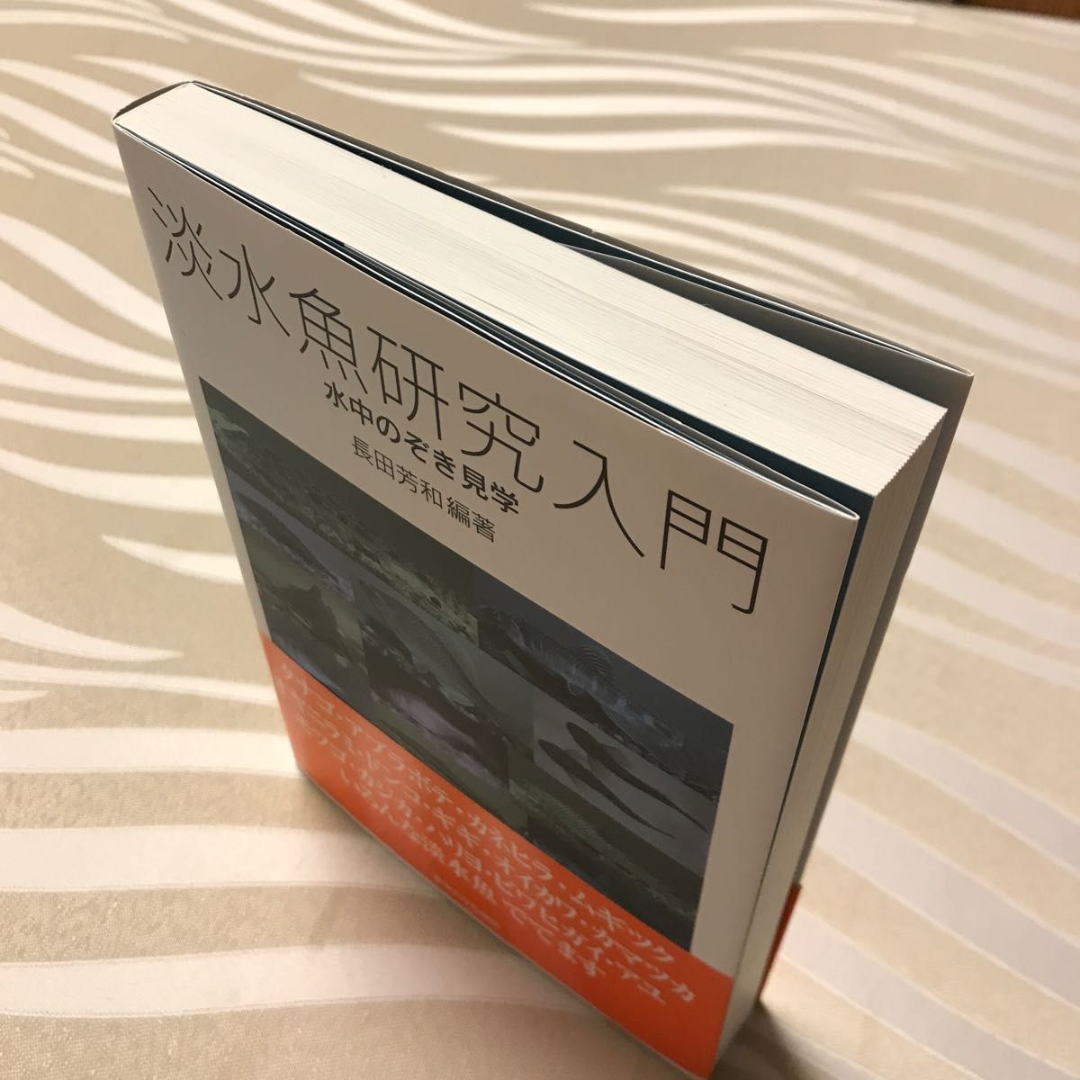 淡水魚研究入門　水中のぞき見学 長田芳和／編著