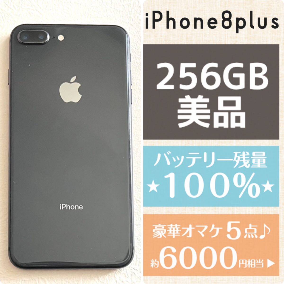 国内外の人気集結！ 8 新品バッテリー残量100%☆大容量256GB