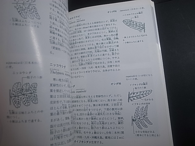  leaf . stem from distinguishes wild grasses search illustrated reference book ⑧sida| study research company 1 jpy 