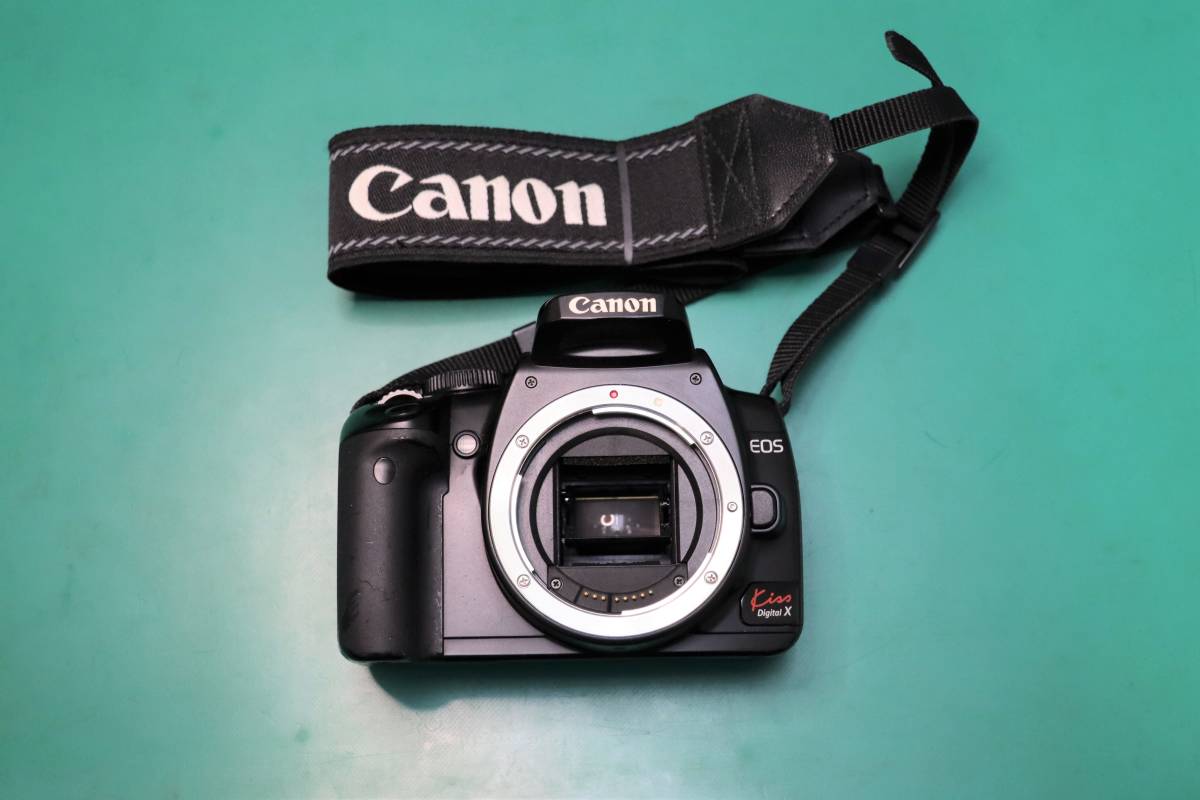 送料無料 Canon EOS Kiss DIGITAL X /バッテリー 充電器 メモリ 送料無料 Canon EOS Kiss DIGITAL X /バッテリー 充電器 メモリ