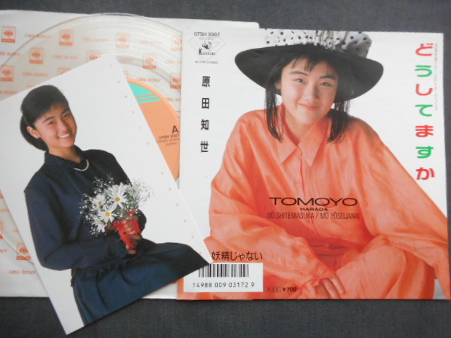 8031 [EP] Tomoyo Harada / Что вы делаете / Clear Board 07sh-2007 с открыткой
