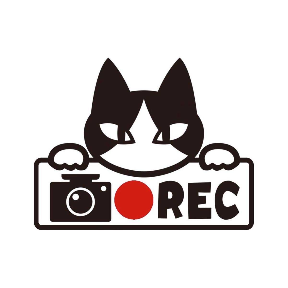 【カッティングステッカー】ネコのドライブレコーダー録画中 煽り運転防止 ハチワレ 猫 ねこ ドラレコ 可愛い キュート_画像1