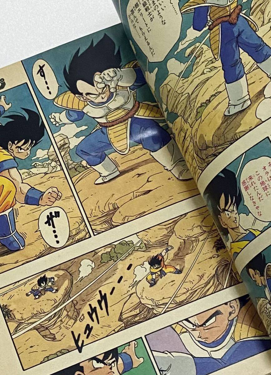 ドラゴンボール DRAGON BALL 表紙＆巻頭カラー掲載 週刊少年
