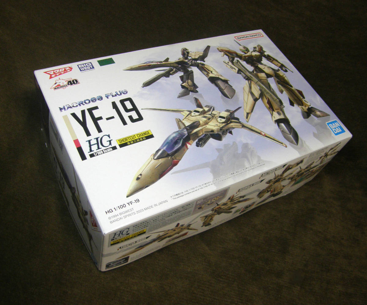 HG 1/100 YF-19 [ painting final product ]/ Macross plus / Bandai Spirits 